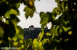 _DSC4116