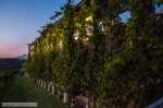 _DSC4131