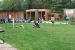 IMG_0125