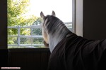 zur Fotogalerie >>>