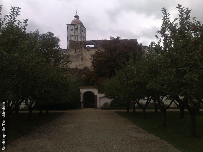 Foto 42